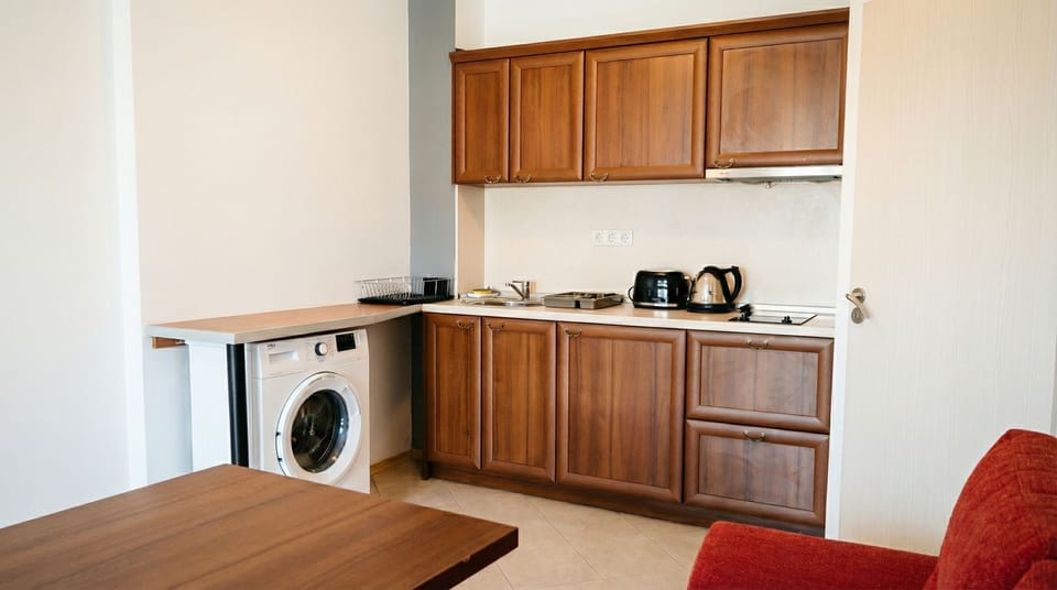 Apartment, 1 Bedroom, Accessible, Mountain View | Laundry