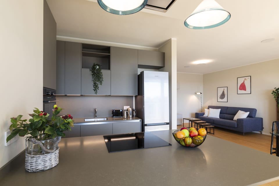 Luxury Apartment | Private kitchen | Full-size fridge, oven, stovetop, dishwasher