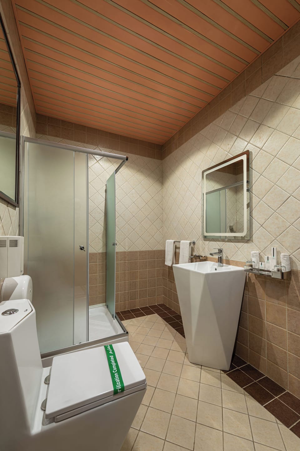 Hair dryer, slippers, bidet