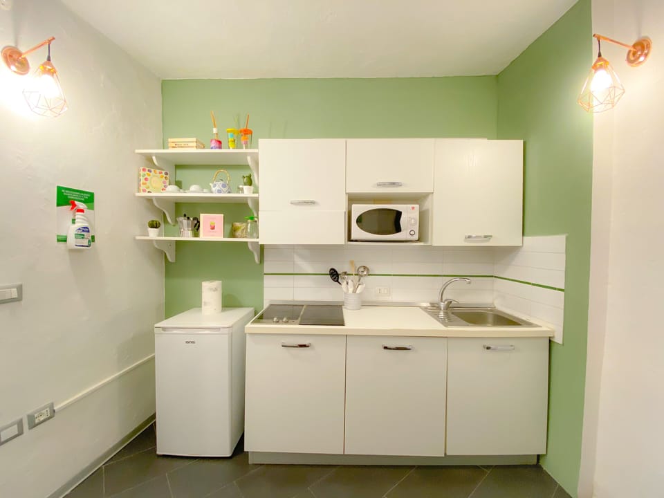 Deluxe Studio Suite | Private kitchen | Full-size fridge, microwave, oven, stovetop