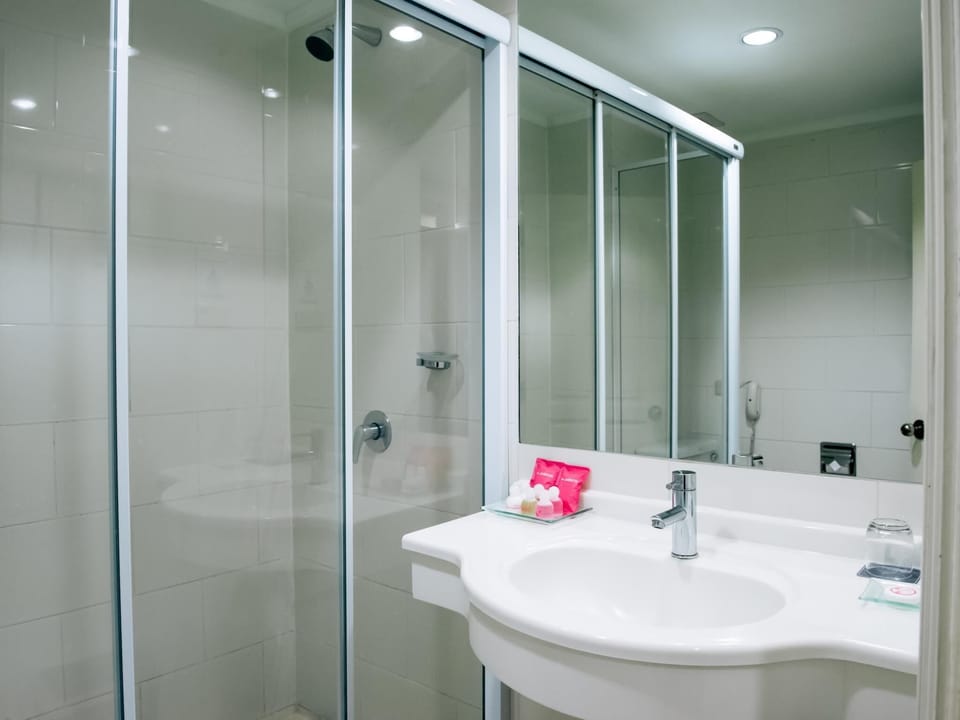 Deluxe Double Room | Bathroom | Free toiletries, hair dryer