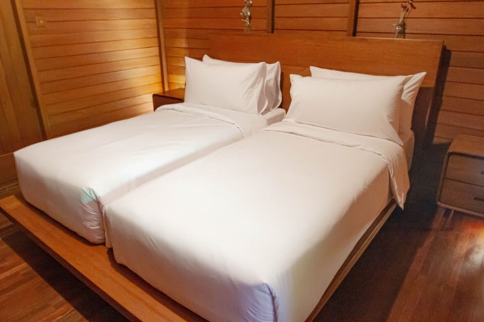Deluxe Twin Room | Minibar, desk, iron/ironing board (on request), WiFi (free)