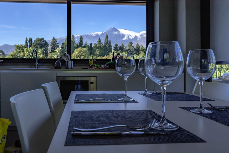 Superior Apartment, Mountain View | Private kitchen | Full-size fridge, microwave, stovetop, electric kettle