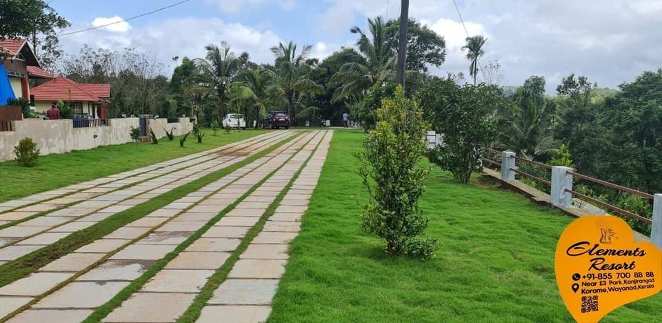 Garden view
