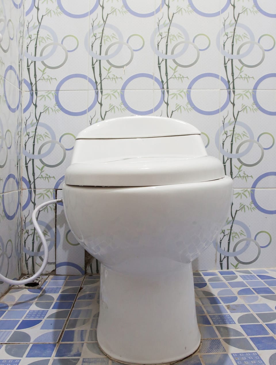 Shower, towels, toilet paper