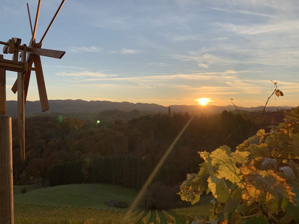 Winery