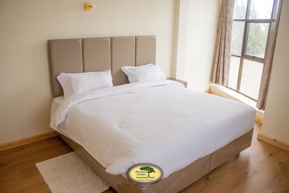 Family Single Room | Premium bedding, blackout drapes, iron/ironing board, free WiFi