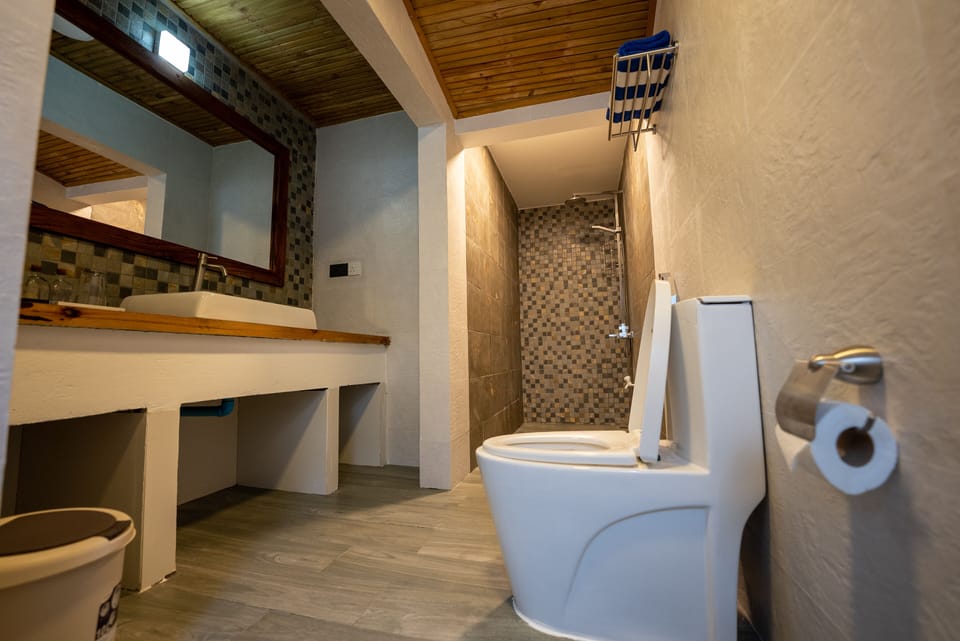Deluxe Triple Room | Bathroom | Towels