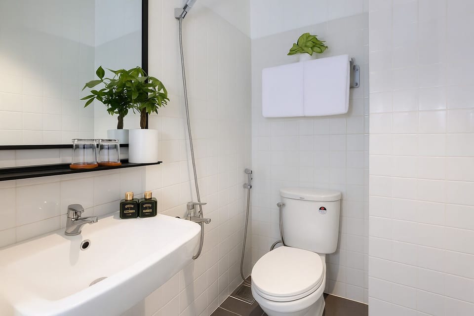 Hydromassage showerhead, free toiletries, hair dryer, bidet