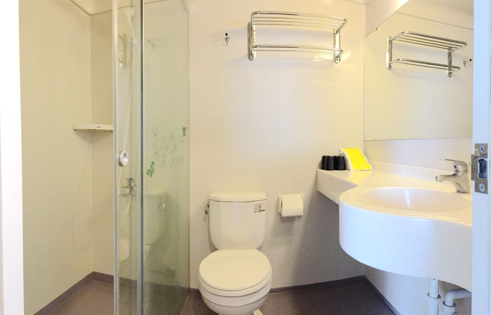 Standard Double Room | Bathroom | Shower, free toiletries, hair dryer, slippers