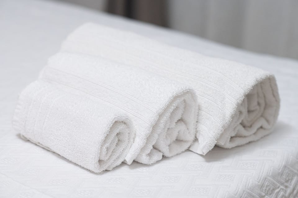 Deluxe Double or Twin Room | Bathroom | Free toiletries, hair dryer, slippers, bidet