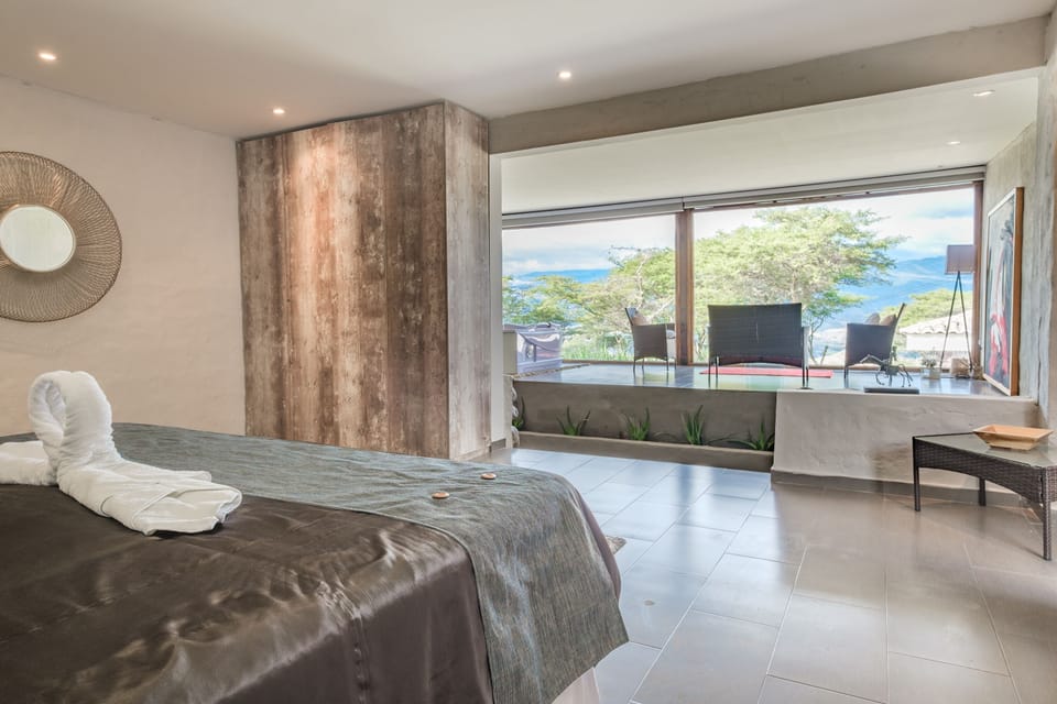 Panoramic Room, 1 King Bed | Desk, WiFi (free)