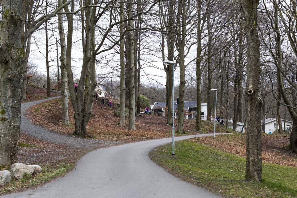 BBQ/picnic area