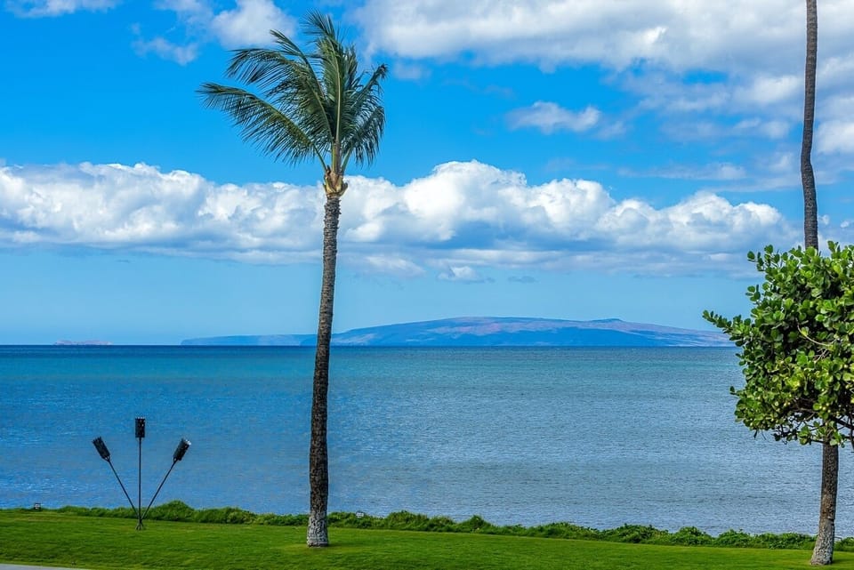 Condo, 2 Bedrooms | Property grounds