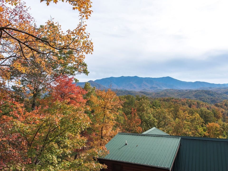 Cabin, 3 Bedrooms | Property grounds