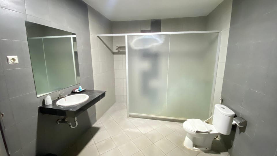 Deluxe Room | Bathroom | Shower, free toiletries, hair dryer (on request), slippers