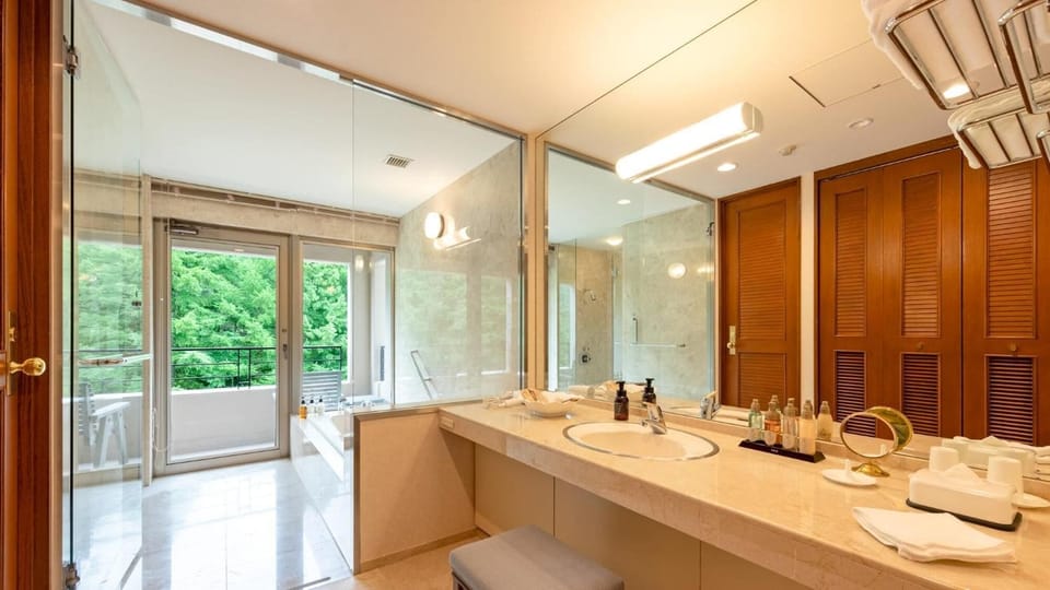 Combined shower/tub, free toiletries, hair dryer, bathrobes
