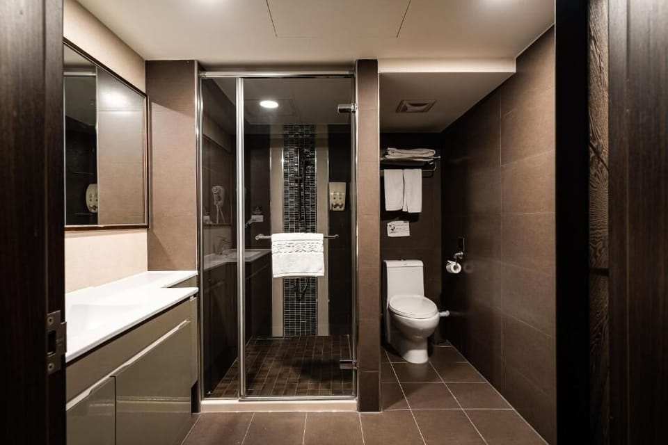 Standard Double Room | Bathroom | Shower, free toiletries, hair dryer, slippers