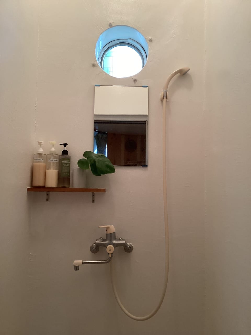 Shower, towels, shampoo, toilet paper