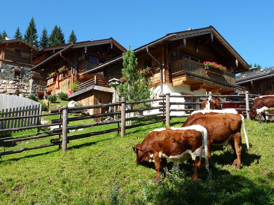 im Almdorf in Flachau Vacation rental in Salzburgerland