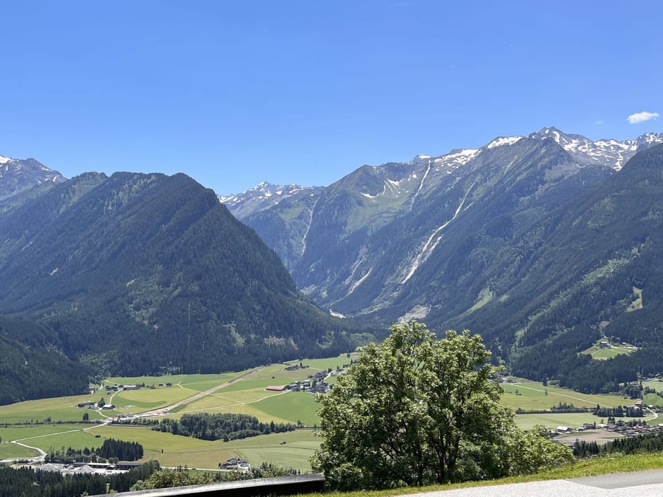 View