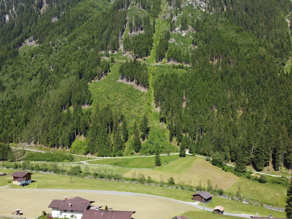 View