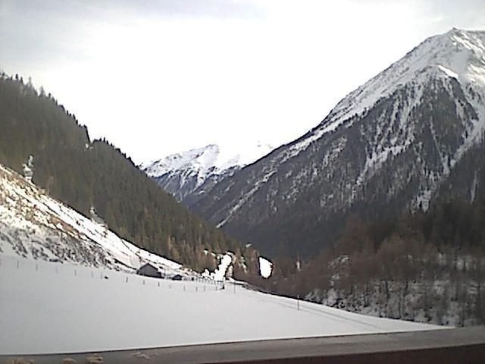 Wohnung Waldeslust in St. Sigmund im Sellrain Apartment in Tyrol