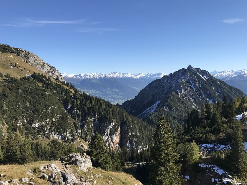 View
