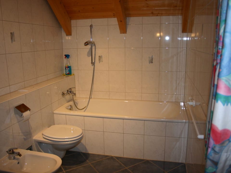 Bathroom / Wellness