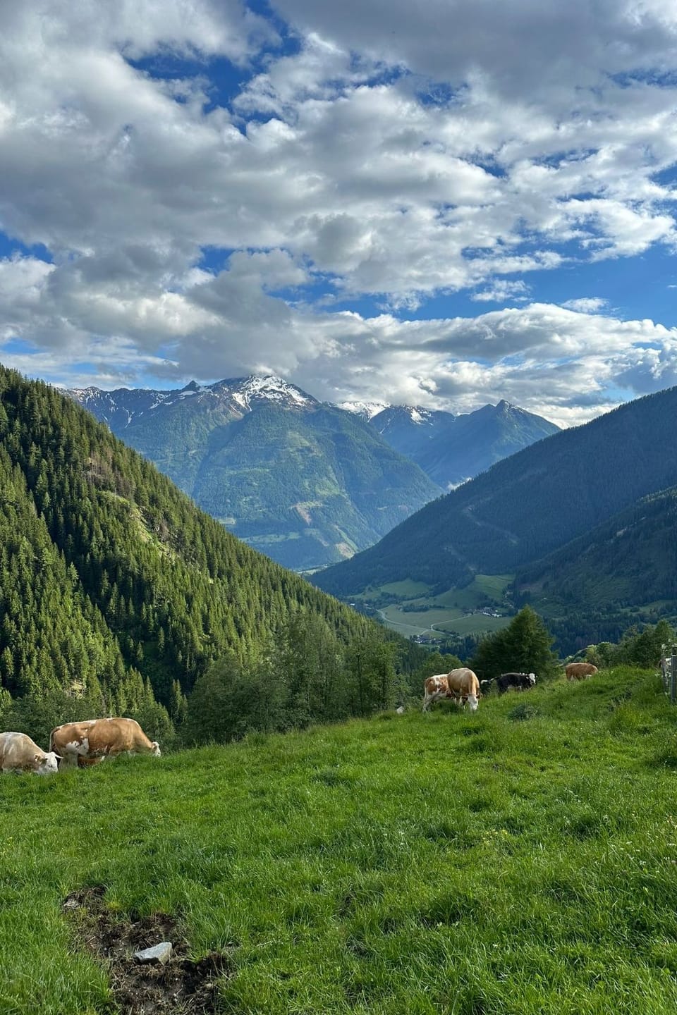Place