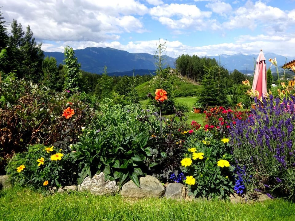 Cosmea in Millstatt Apartment in Spittal an der Drau