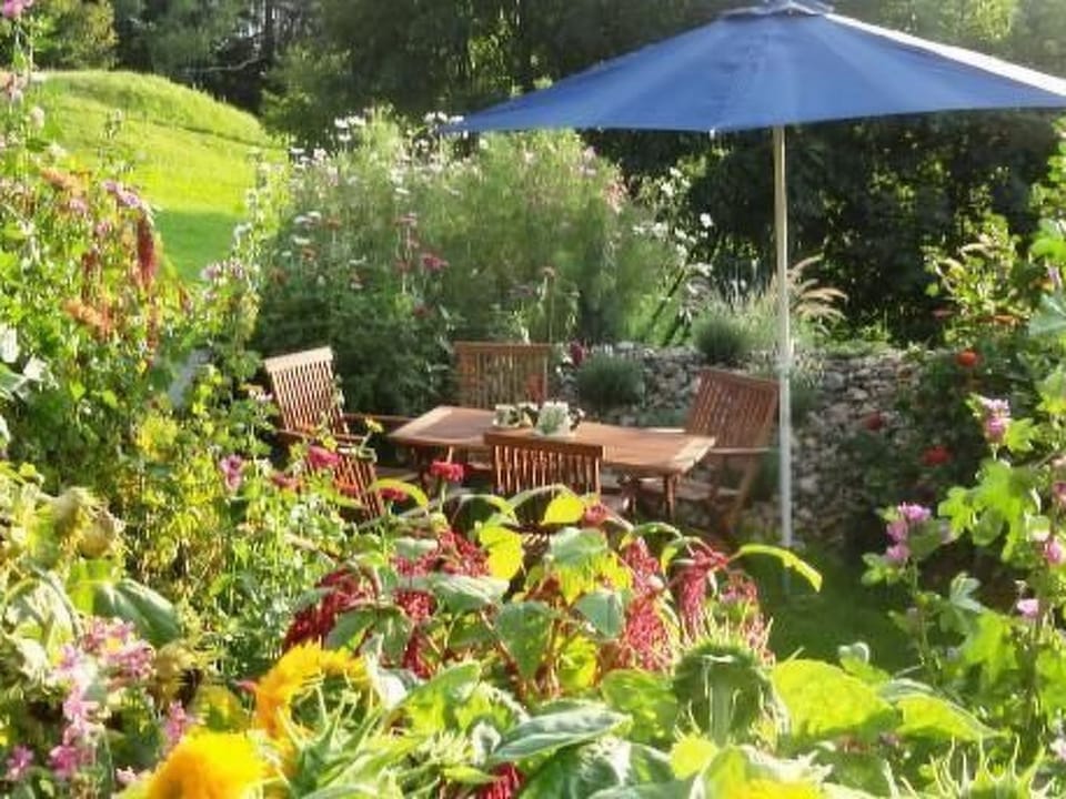 Phlox in Millstatt Apartment in Spittal an der Drau