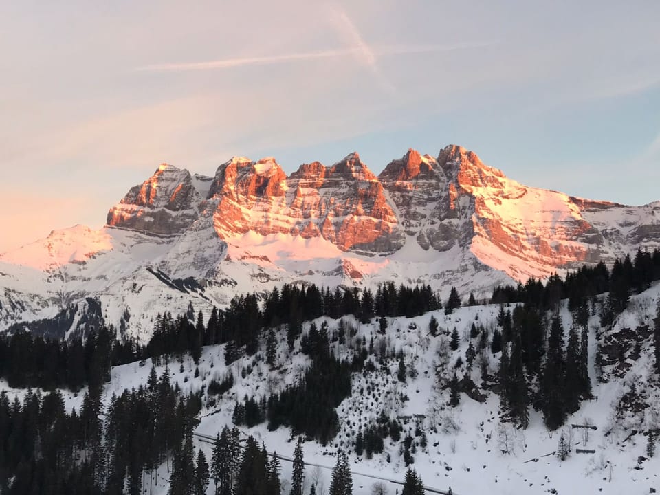 View