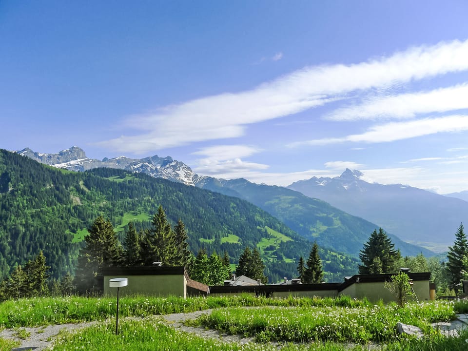 View