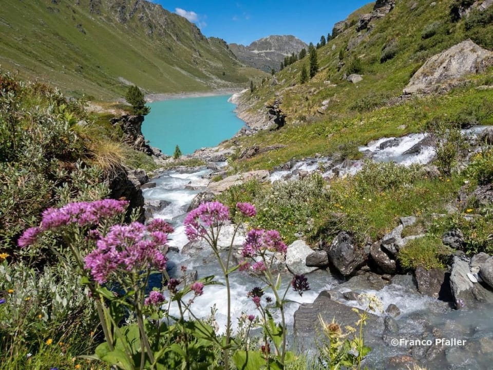 Teychenne Mungo Vacation rental in Canton of Valais