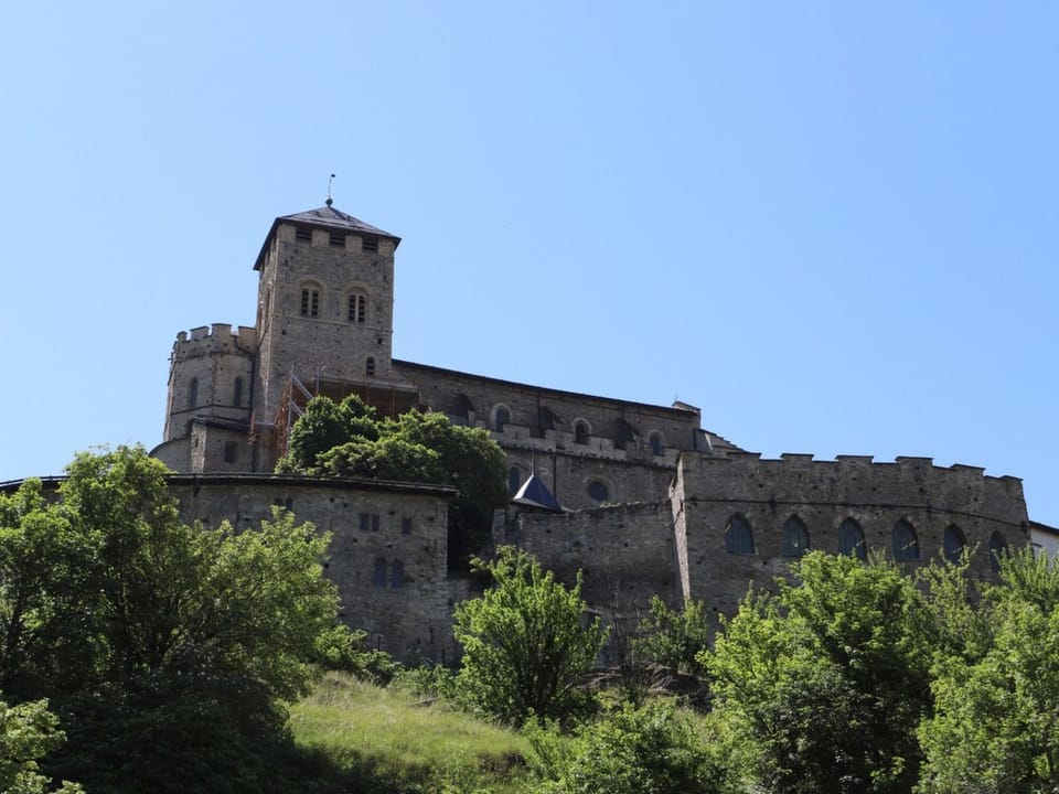 View