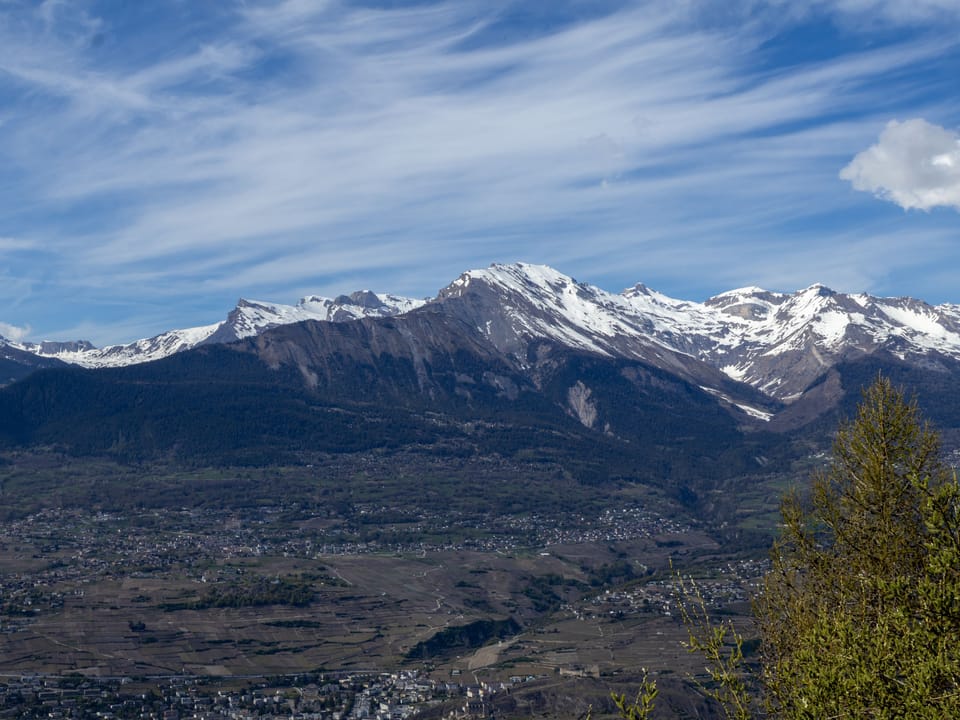 View