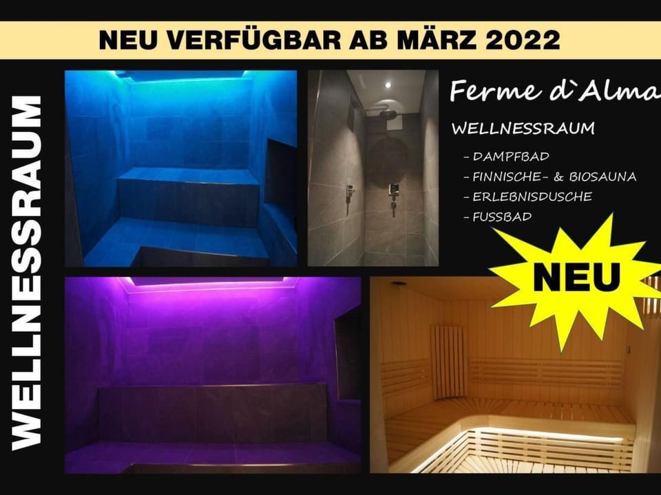 "Ferme d' Alma" Apartment in Switzerland
