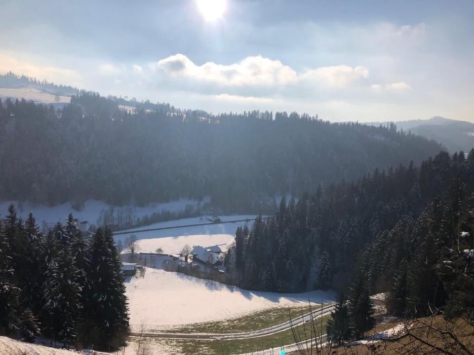 View