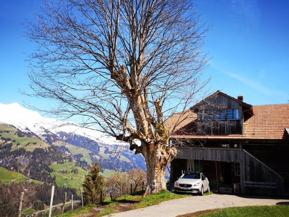 Weidhütte Wegscheide Hütte, Dusche, WC, 4 oder mehr Schlafräume Wohnung 2. Stock Apartment in Canton of Valais