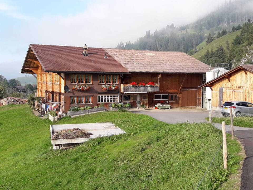 Bauernhaus Uf dr Flue Appartement/Fewo, Bad, WC, 4 oder mehr Schlafräume Apartment in Adelboden
