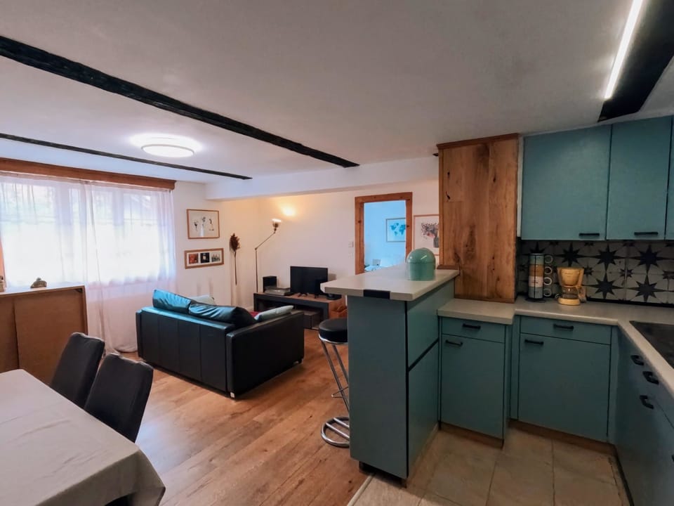 Arlinn Apartment Appartement/Fewo, Dusche und Bad, WC, 1 Schlafraum Apartment in Canton of Valais
