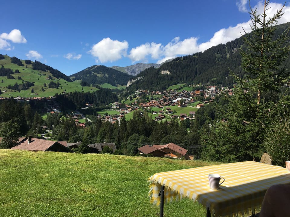 Shalom Appartement/Fewo, Bad, WC, 2 Schlafräume 3-Zimmerwohnung Apartment in Adelboden
