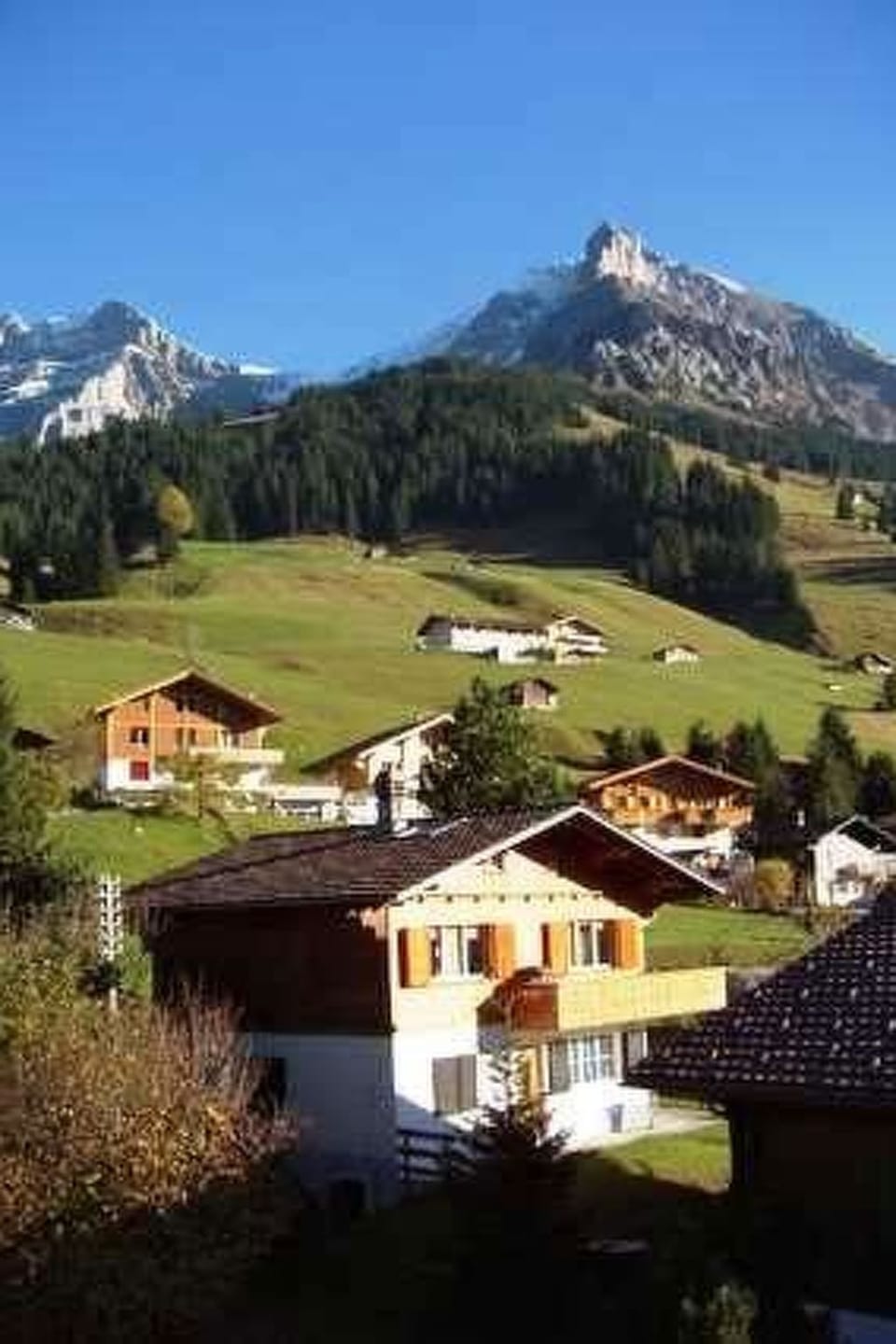 Lisa Appartement/Fewo, Dusche, WC, 2 Schlafräume 3-Zimmerwohnung Apartment in Adelboden