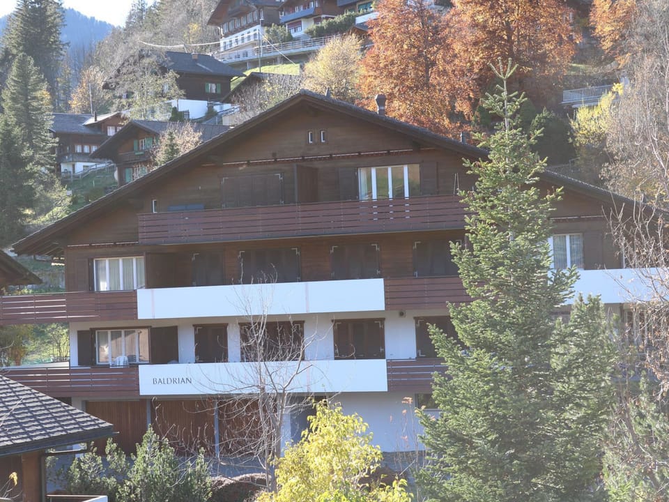 Gruebi - Haus Baldrian Appartement/Fewo, Bad, WC, 2 Schlafräume 3-Zimmerwohnung Apartment in Adelboden