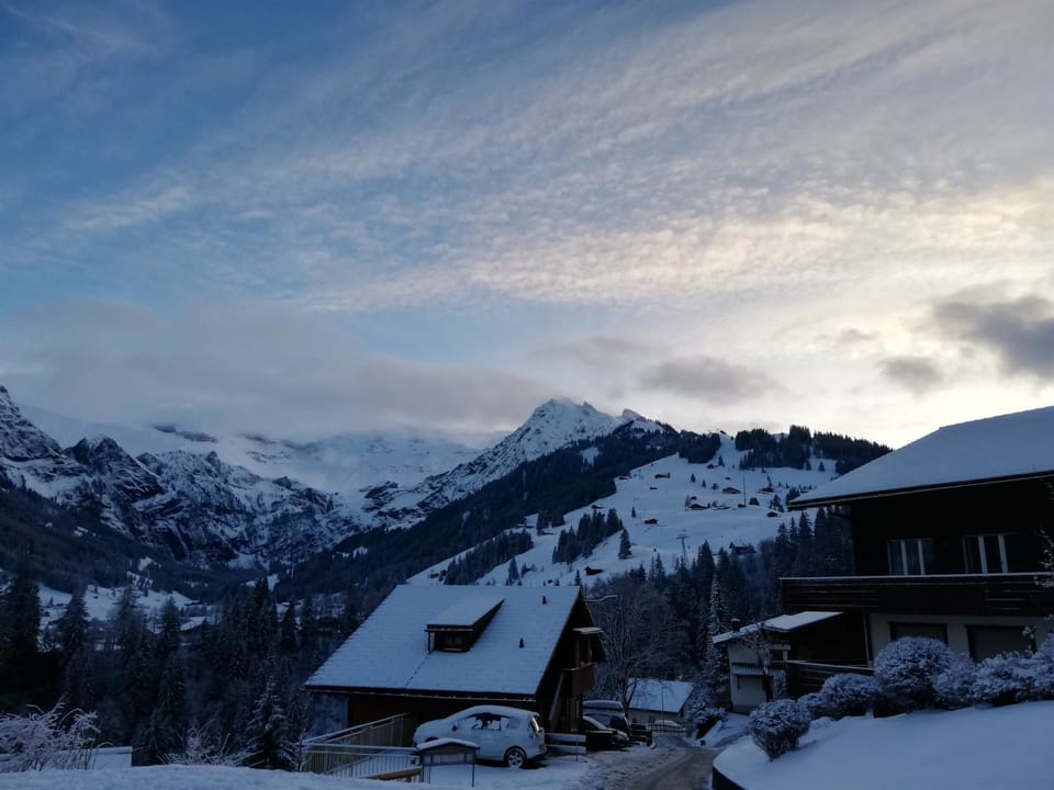 Gruebi - Haus Baldrian Appartement/Fewo, Bad, WC, 2 Schlafräume 3-Zimmerwohnung Apartment in Adelboden