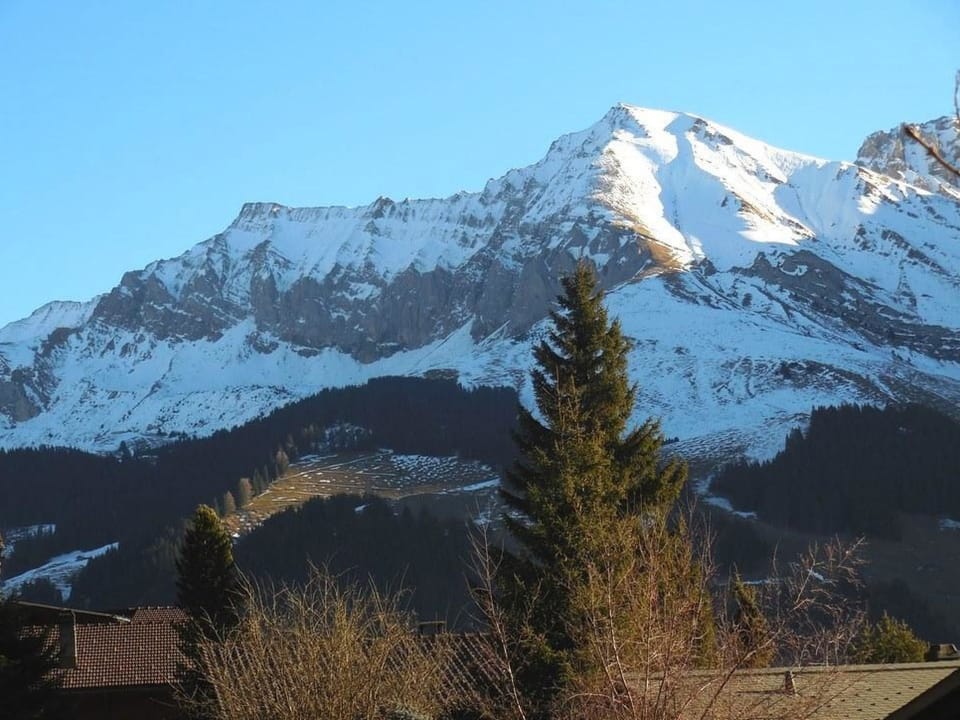 Sunneweg Appartement/Fewo, Dusche, WC, 1 Schlafraum 2-Zimmerwohnung Apartment in Adelboden