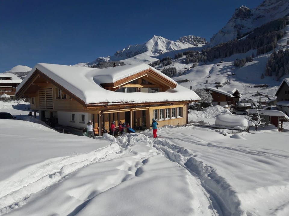 Malolo Appartement/Fewo, Dusche, WC, 1 Schlafraum 2.5 Zimmerwohnung Apartment in Adelboden