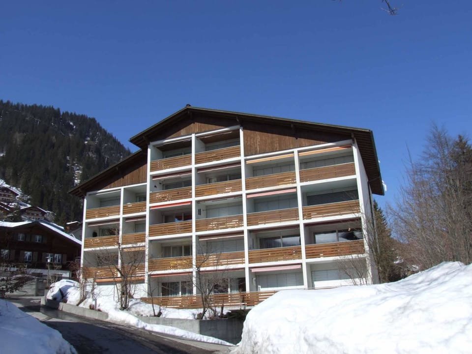 Studio Selva Appartement/Fewo, Dusche, WC, 1 Schlafraum 1-Zimmerwohnung Apartment in Adelboden