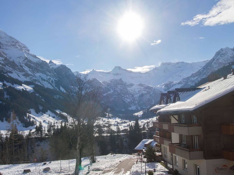 Studio Selva Appartement/Fewo, Dusche, WC, 1 Schlafraum 1-Zimmerwohnung Apartment in Adelboden